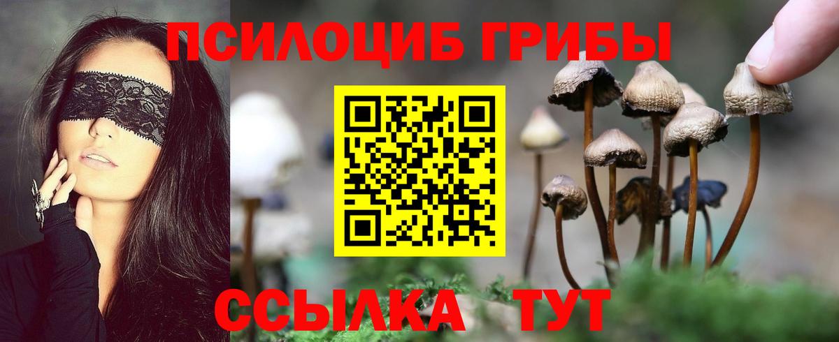 Псилоцибиновые грибы мицелий  Вход с VPN  Галлюциногенные грибы ЛСД  Ейск 